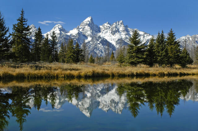 Mountain Vacation