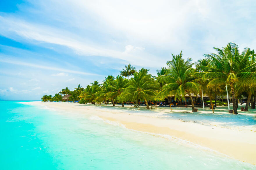 maldives-island.jpg