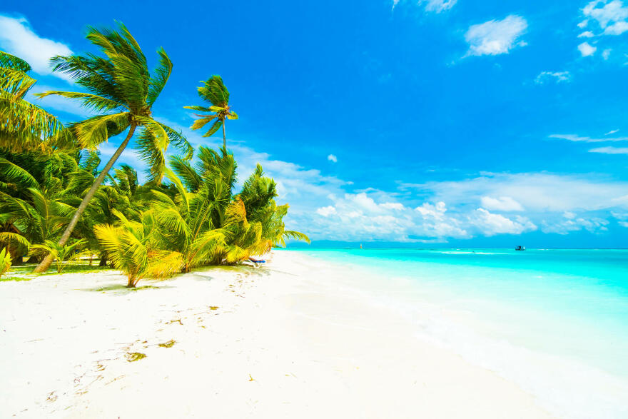 tree-sky-lagoon-maldives-resort.jpg