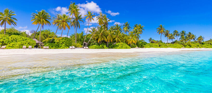 beach-nature-palm-sea-sand-beach-tropical-idyllic-paradise-island-exotic-landscape-dream-b.jpg