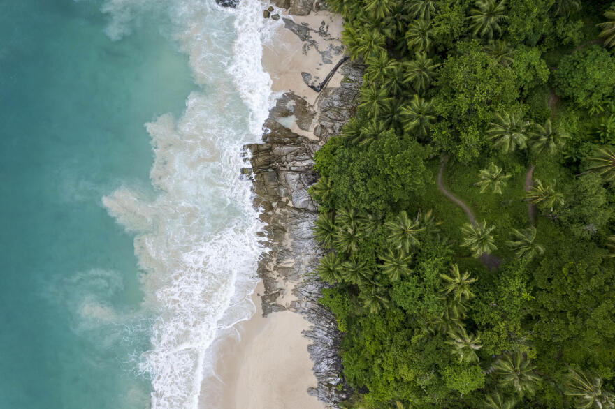 beautiful-tropical-island-with-beach-coconut-palm-tree-freedom-beach-phuket.jpg