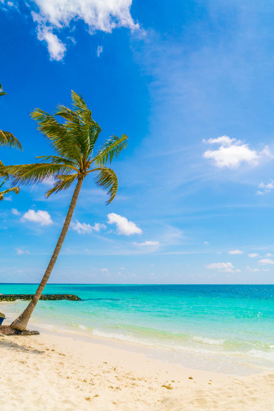 relaxation-ocean-recreation-tourism-day.jpg