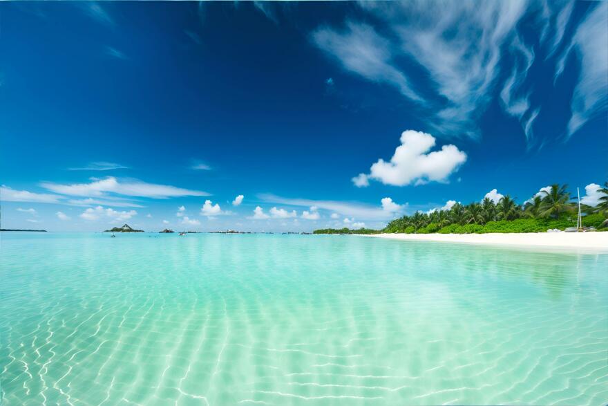 beach-background-1.jpg