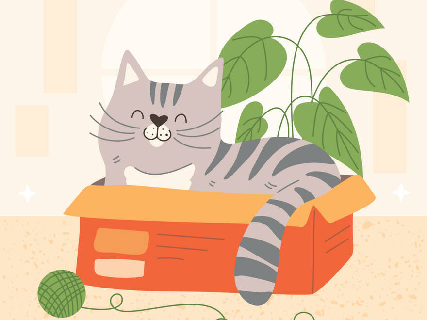 Box time   yippee!